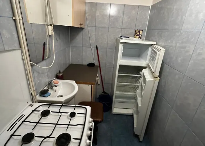 Cosmin Apartment Craiova